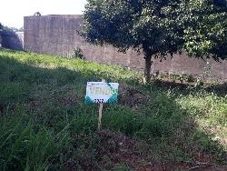 Terreno para Venda em Portão - 4