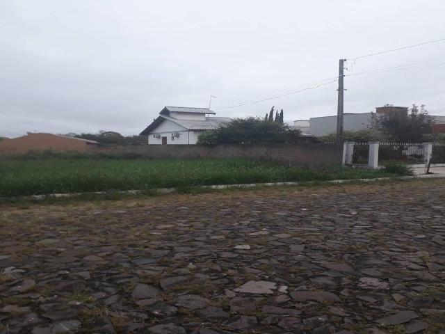Área para Venda em Portão - 5