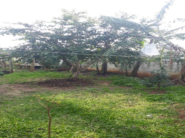 #178 - Casa para Venda em Portão - RS - 3