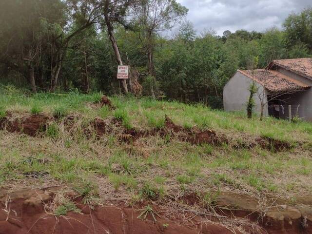 Área para Venda em Estância Velha - 4
